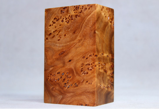 Stabilized Elm Burl Wood Mod Block